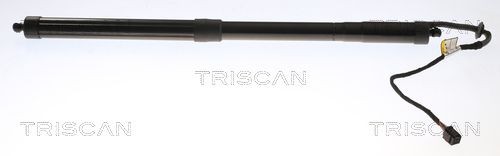 TRISCAN Bagklapsdæmper Varenummer: 8710 17301 billige