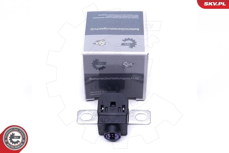 ESEN SKV Sensor, battery management Article number: 96SKV300 cheaply