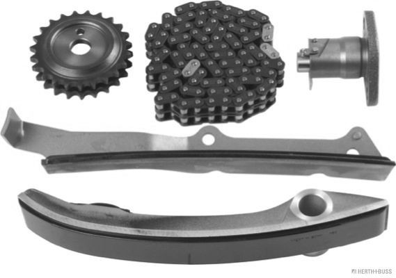 HERTH+BUSS JAKOPARTS Timing chain kit Article number: J1195000 cheaply