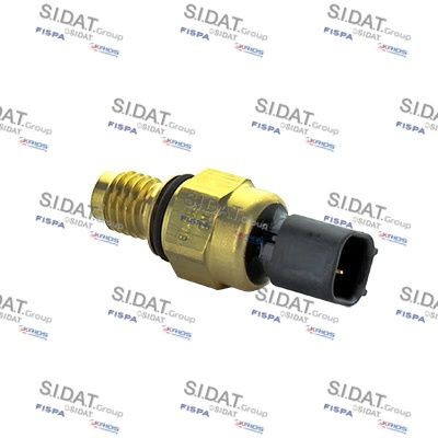 SIDAT 82.081 Olietrykskontakt, servostyring FOCUS 1.8 TDCi 115 HK Diesel 2007