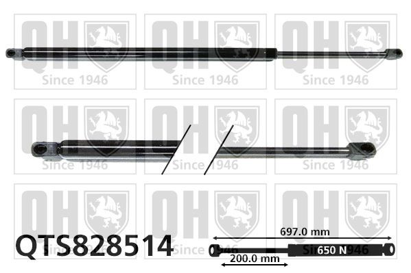 QUINTON HAZELL Tailgate strut Article number: QTS828514 cheaply