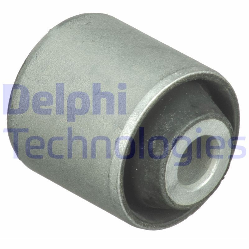 DELPHI Trailing arm / Suspension arm bush Article number: TD1681W cheaply