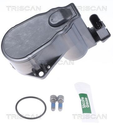TRISCAN Control Element, parking brake caliper Article number: 8170 208018 cheaply