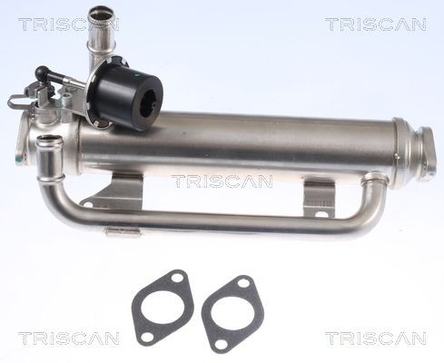 TRISCAN 8813 29320 EGR-jahuti PASSAT 2.0 TDI 163 HP Diisel 2011