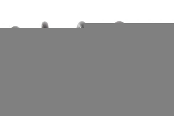 MAPCO Coil spring Article number: 70140 cheaply