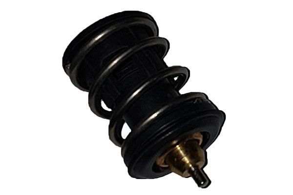 BUGIAD Thermostat Article number: BSP25071 cheaply