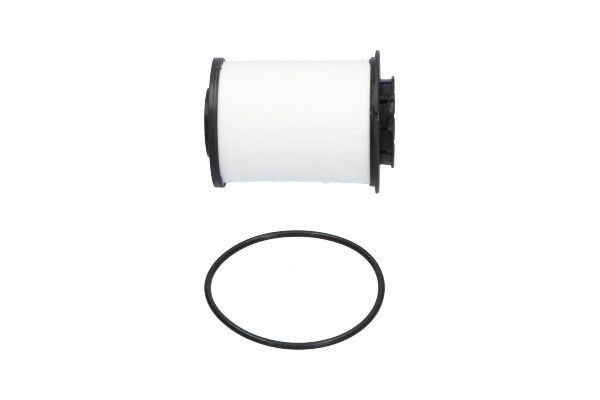 KAVO PARTS Kütusefilter Artikli number: DF-7747 soodsalt