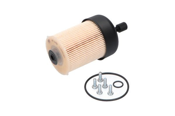 KAVO PARTS Kütusefilter Artikli number: NF-2482 soodsalt