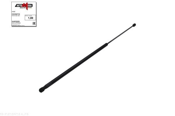 AUTOMEGA Bonnet strut Article number: 210192710 cheaply