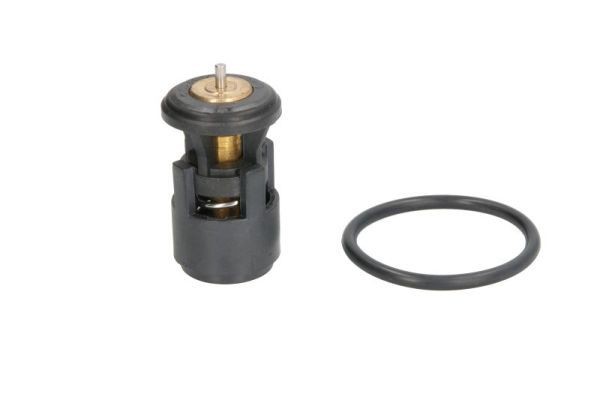 THERMOTEC Thermostat Article number: D2A005TT cheaply