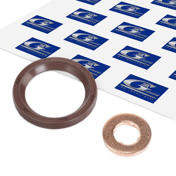 3RG Seal Kit, injector nozzle Article number: 83249 cheaply