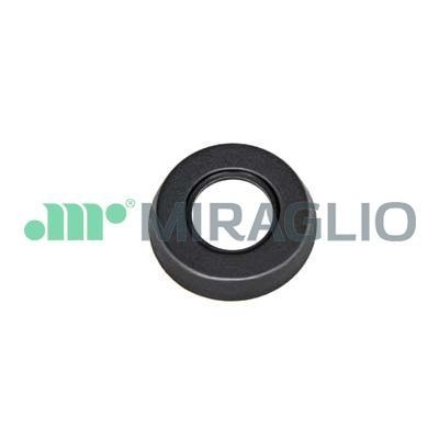 MIRAGLIO Maniglia portiera, Equipaggiamento interno Numero articolo: 110/34 poco costoso