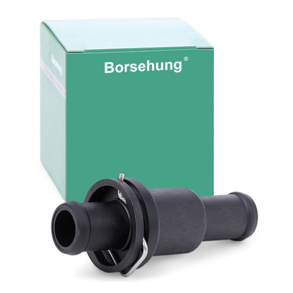 Borsehung Thermostat Article number: B18776 cheaply