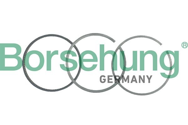 Borsehung Kolvringsats Artikelnummer: B19038 billigt