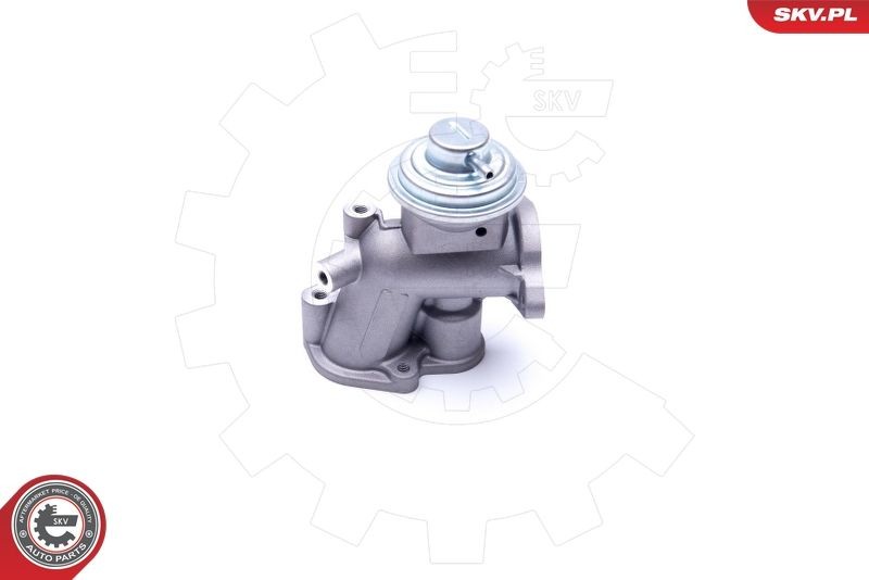 ESEN SKV EGR valve Article number: 14SKV180 cheaply