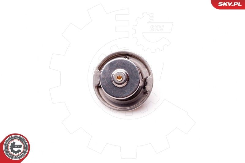 ESEN SKV Thermostat Article number: 20SKV048 cheaply