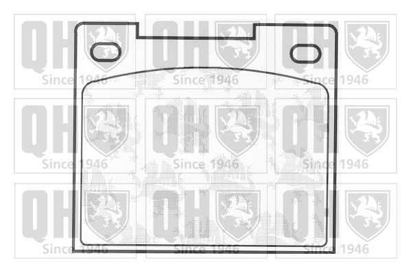 QUINTON HAZELL Brake pad set Article number: BP101 cheaply