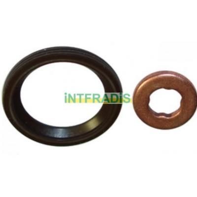 INTFRADIS Seal Kit, injector nozzle Article number: 10128 cheaply