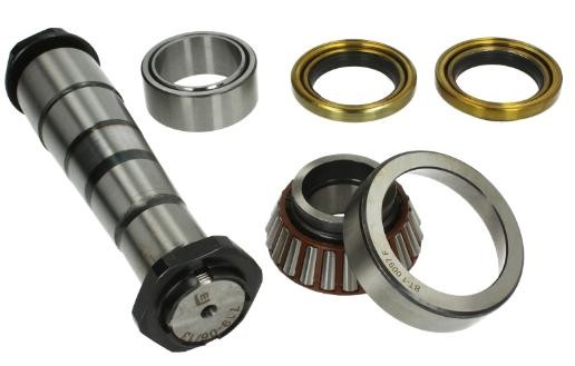 LEMA Kit riparazione, Perno fuso a snodo Numero articolo: 719 poco costoso
