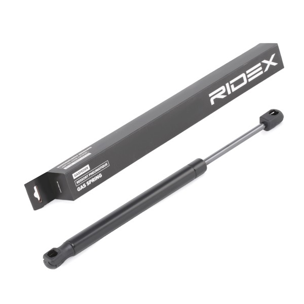 RIDEX Tailgate strut Article number: 219G0898 cheaply
