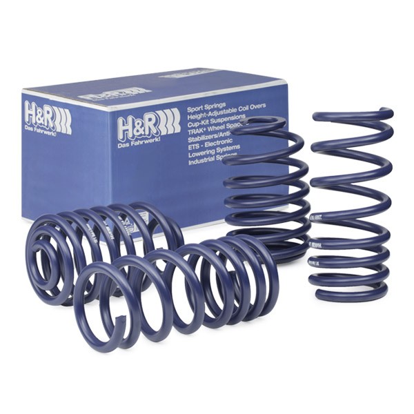 H&R Lowering springs Article number: 29951-1 cheaply