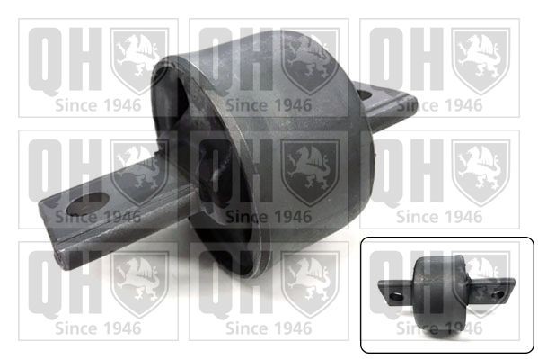 QUINTON HAZELL Axle bush Article number: EM4859 cheaply