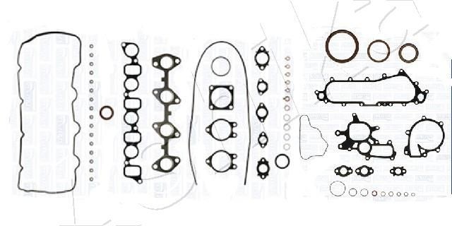 ASHIKA Set garnituri motor număr articol: 49-02-205 ieftin