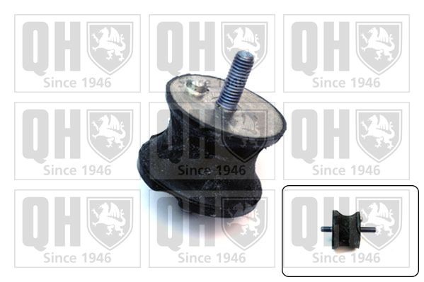 QUINTON HAZELL Mounting, automatic transmission Article number: EM2576 cheaply