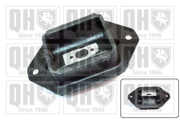 QUINTON HAZELL Mounting, automatic transmission Article number: EM4060 cheaply