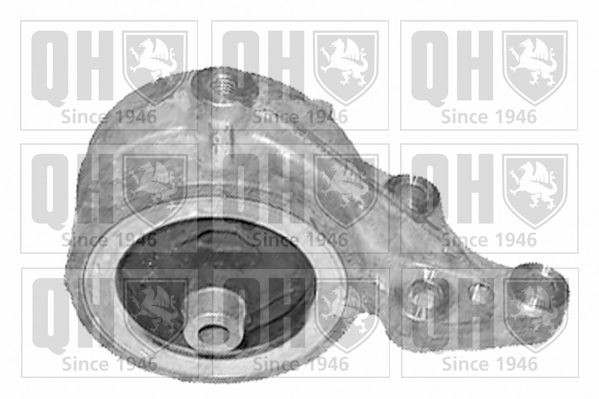 QUINTON HAZELL Engine mount Article number: EM4128 cheaply