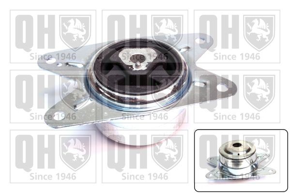 QUINTON HAZELL Mounting, automatic transmission Article number: EM4181 cheaply