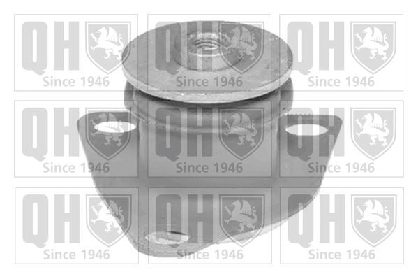QUINTON HAZELL Mounting, support frame / engine carrier Article number: EM4232 cheaply