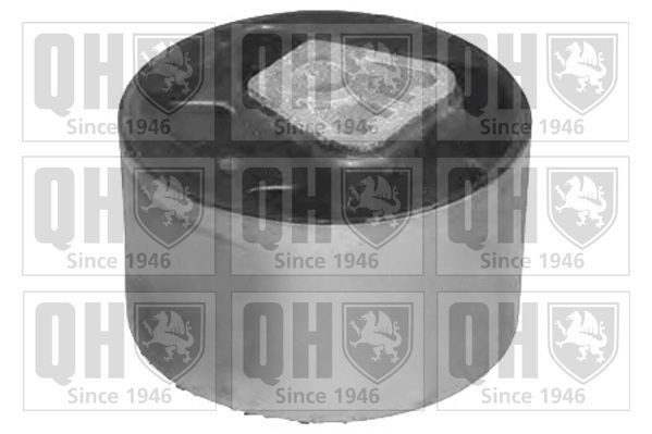 QUINTON HAZELL Engine mount Article number: EM4387 cheaply