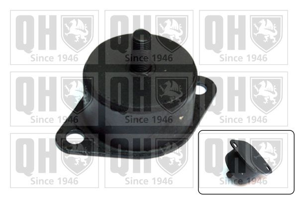 QUINTON HAZELL Engine mount Article number: EM568 cheaply
