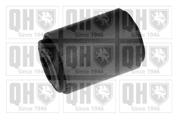 QUINTON HAZELL Mounting, leaf spring Article number: EMS1935 cheaply
