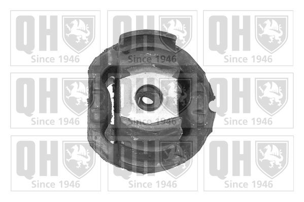 QUINTON HAZELL Trailing arm / Suspension arm bush Article number: EMS2494 cheaply