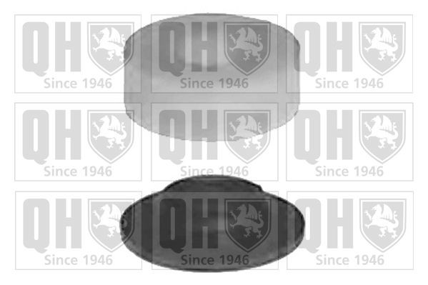 QUINTON HAZELL Trailing arm / Suspension arm bush Article number: EMS3035 cheaply