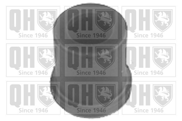 QUINTON HAZELL Mounting, leaf spring Article number: EMS8028 cheaply