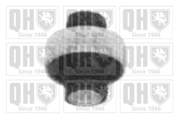 QUINTON HAZELL Trailing arm / Suspension arm bush Article number: EMS8156 cheaply