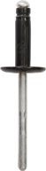 RESTAGRAF 12335 Stopper, ehis- / kaitseliist DS4 PureTech 180 (F35GFT) 181 HP Bensiin