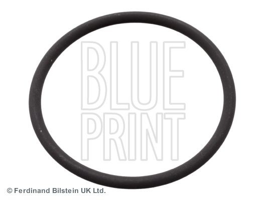 BLUE PRINT Tihend, sissepritsepump Artikli number: ADN16144 soodsalt