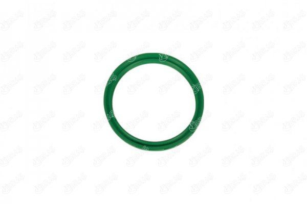 IBRAS Seal, turbo air hose Article number: 35073 cheaply