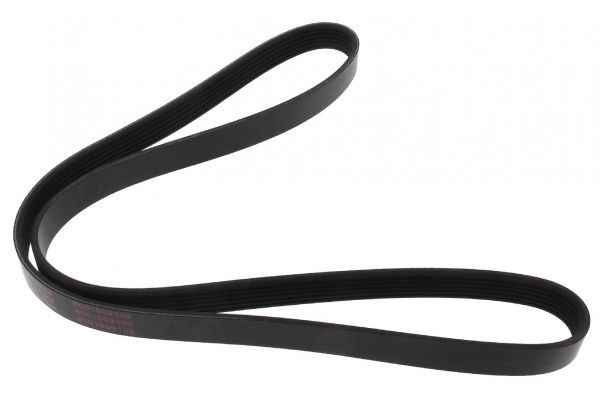 MAPCO Serpentine belt Article number: 261244 cheaply