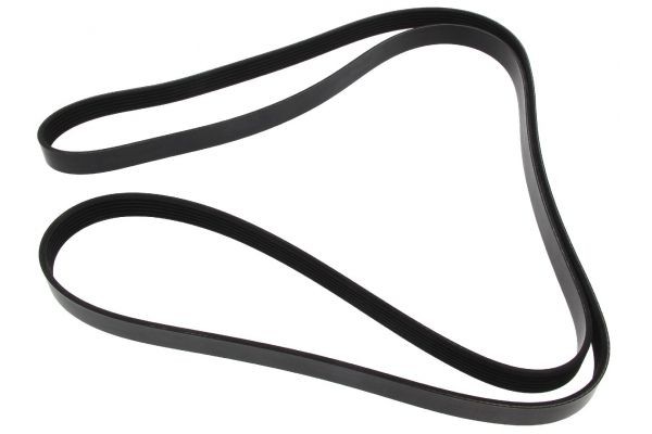 MAPCO Serpentine belt Article number: 262498 cheaply