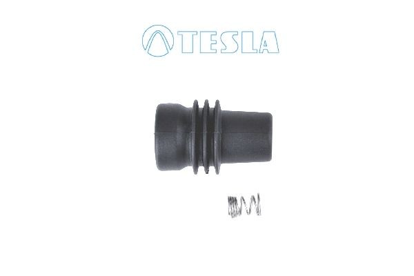 TESLA CP076 Plug, spark plug C5 3.0 V6 207 PS Petrol 2005