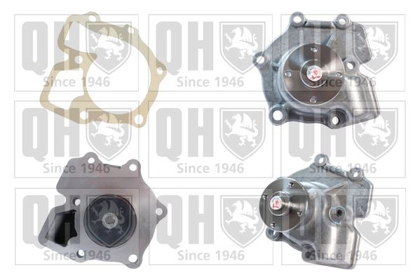 QUINTON HAZELL Veepump Artikli number: QCP2565 soodsalt