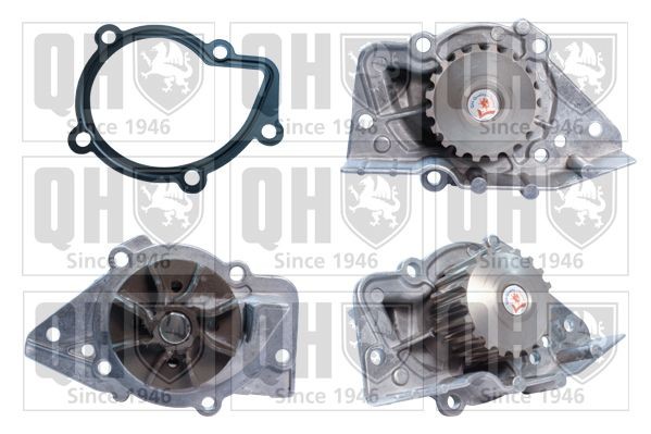QUINTON HAZELL Veepump Artikli number: QCP2944 soodsalt