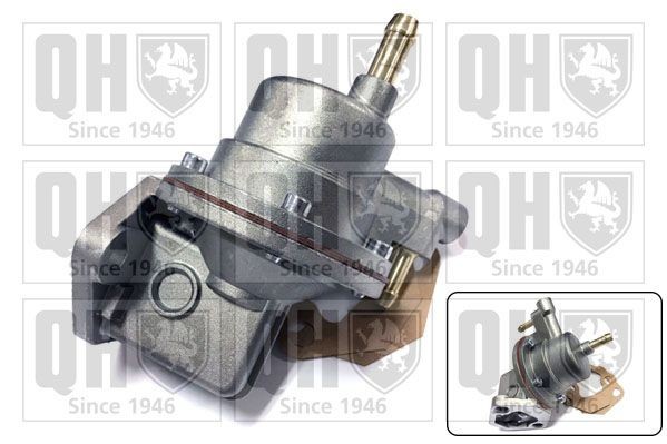QUINTON HAZELL Fuel pump Article number: QFP14 cheaply