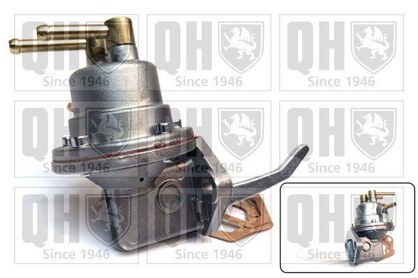 QUINTON HAZELL Fuel pump Article number: QFP178 cheaply