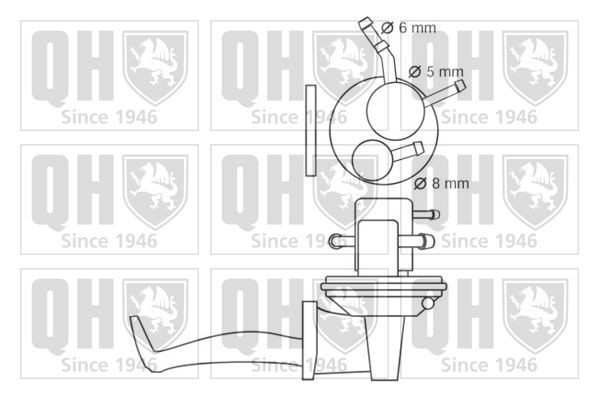 QUINTON HAZELL Fuel pump Article number: QFP202 cheaply